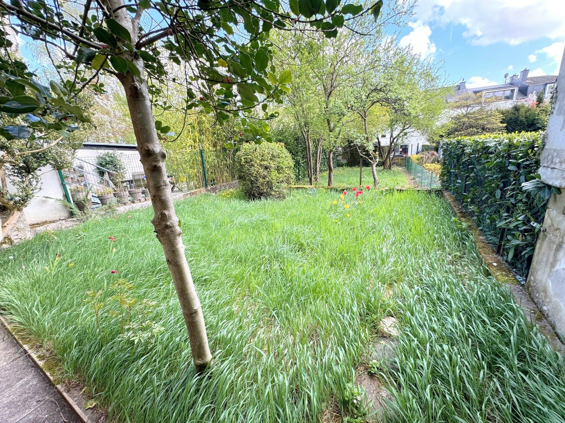 Image du bien immobilier 8